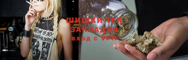 тгк Богданович
